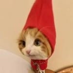 Mauricio Calderón avatar